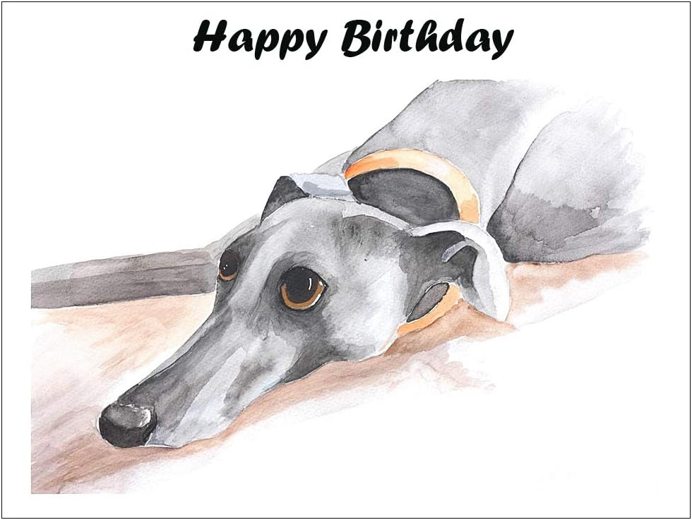 Birthday Card Greyhound Whippet Lurcher Birthday Cards Italian Dog Gift