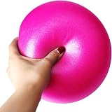 ZHIYE Mini Pilates Ball Yoga Exercise Core Fitness Bender 25cm Pink 80kg view 2