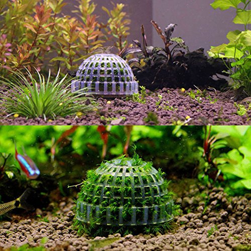 Stebcece Hot Mineral Natural Aquatic Moss Ball for Aquarium Crystal Red Shrimp Fish Tank - Thumbnail 3