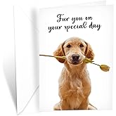 Prime Greetings Funny Dog Birthday Card Pun With Golden Retriever, Made in America, Eco-Friendly, Thick Card Stock with Premium Envelope 5in x 7.75in, Packaged in Protective Mailer