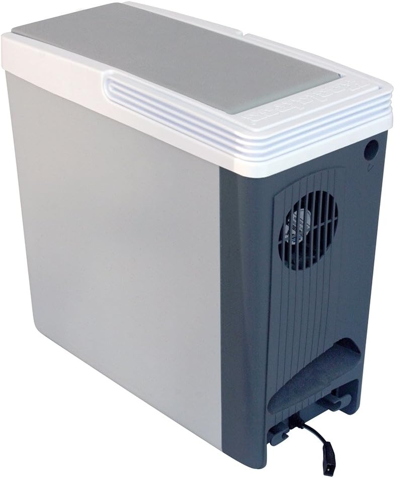 portable cooler warmer 12v