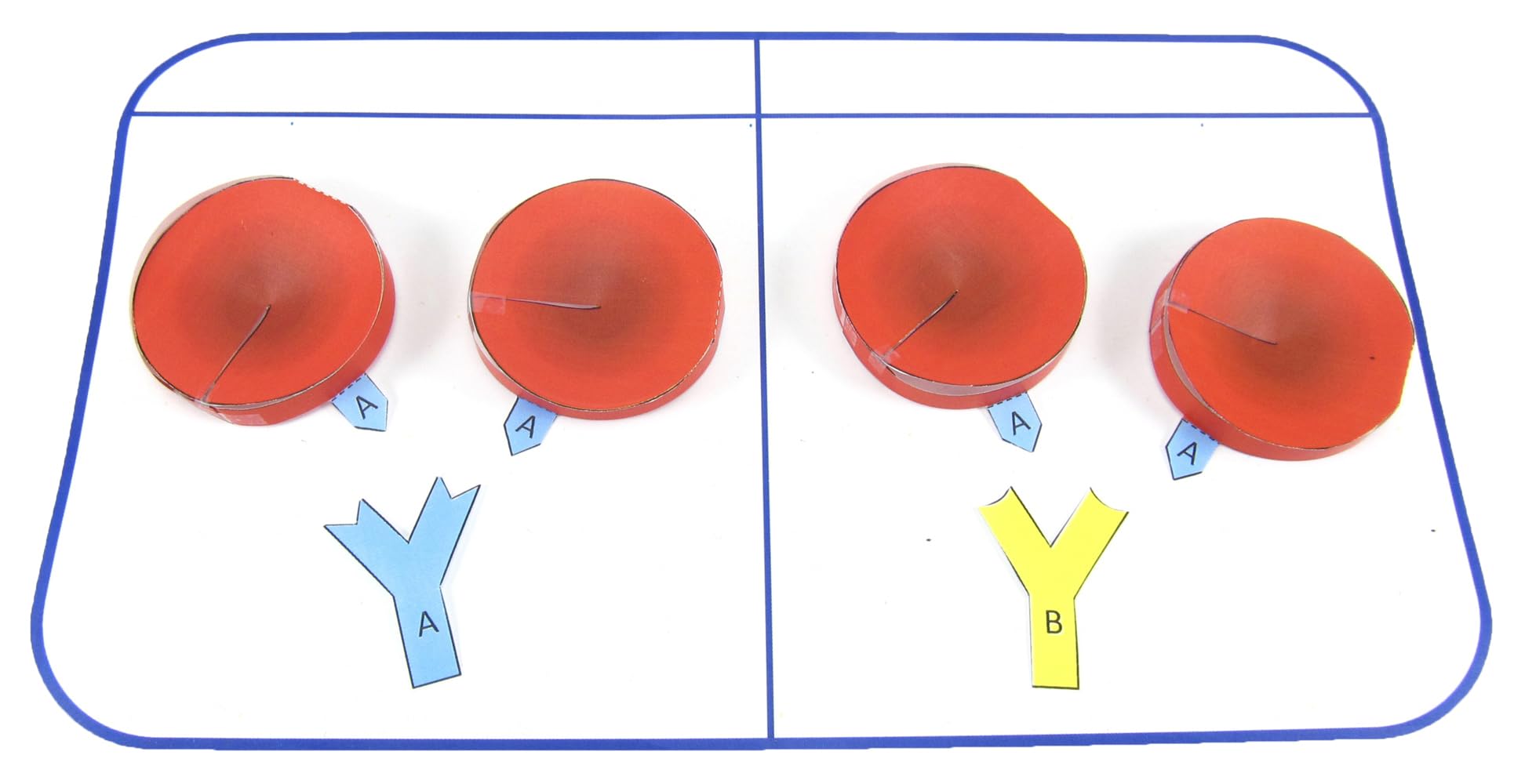 NewPath Blood Type Testing 3D Model Making Kit