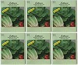 (6 Pack) Heirloom Variety Romaine Lettuce Seeds 350