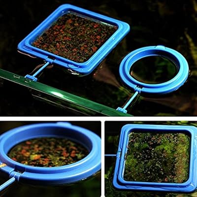 Amazon Com Glumes Fish Feeding Ring Aquarium Fish Safe Floating
