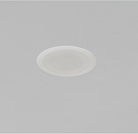 istar ceiling speakers