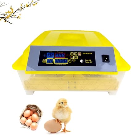 Wishy Couveuse Automatique De 48 œufs De Poules Ou Canards A Affichage Digital De La Temperature Incubateur Pour Couver Poule Canard Caille Amazon Fr Cuisine Maison
