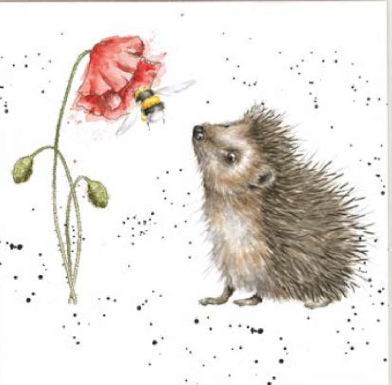 Wrendale Designs Hedgehog and Bee Print on White Square 20 cm Canvas Busy As A Bee