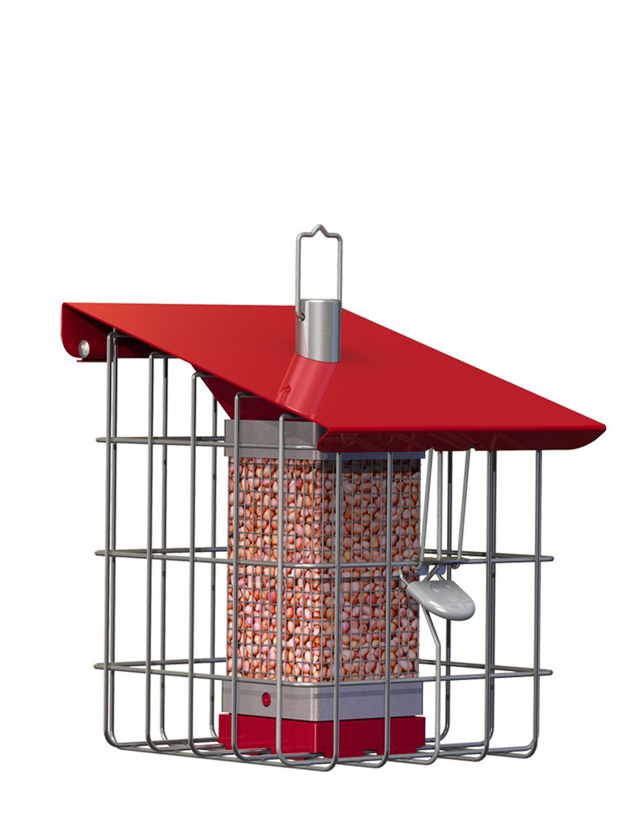 The Nuttery NC0010 Geohouse Compact Peanut/Sunflower Seed Feeder