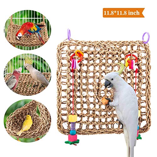 Wieppo Bird-Foraging-Toy-Perch Net – Woven Seagrass Mat Hammock Bird Toy, Hanging Hook Wall Bird Toys for Cockatoo,Cockatiels-Conure-Budgie-Parakeet-Lovebird-Parrotlets, Jenday
