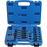 Glow Plug Puller Kit,Engine Glow Plug Removal Kit,Glow Plug Puller Kit,22PCS Set Glow Plug Electrodes Removal Tool Kit Extrac