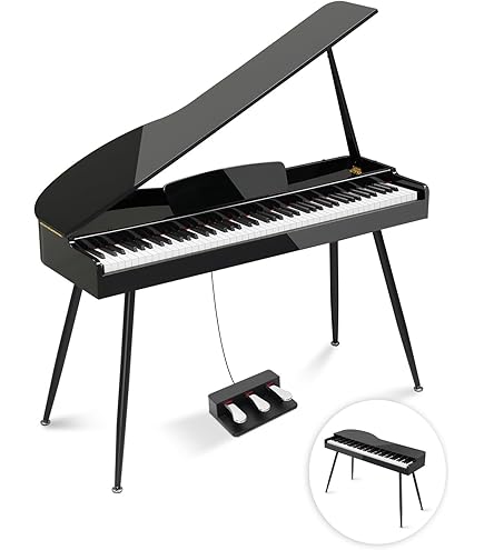 Amazon.com: Korg microPiano 61 - Key Minature Grand Piano, Black