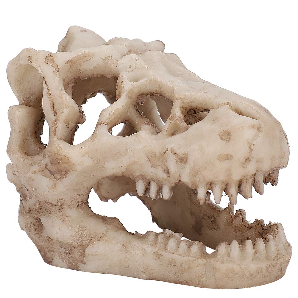 Zerodis Aquarium Ornament, Resin Artificial Dinosaur Skull Shape Fish Tank Ornament Cave Decoration Hiding Climbing Shelter for Fish Tortoise