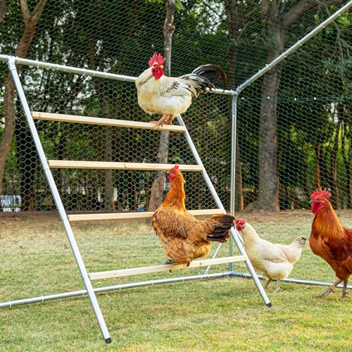 Petsfit Square Chicken Roosting Perch