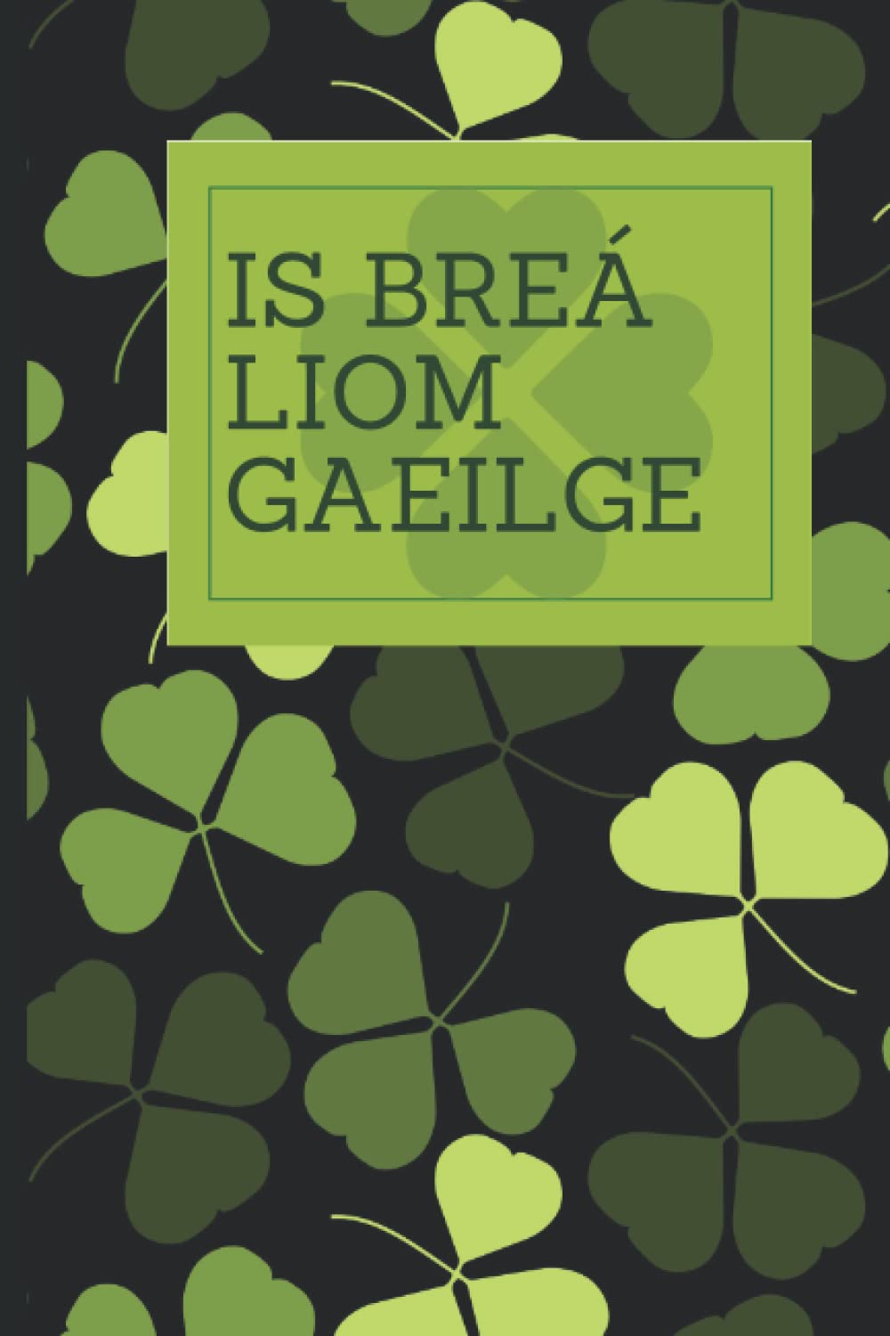 IS BREÁ LIOM GAEILGE: notebook for irish, Journal/Notebook Blank Lined Ruled 6x9 100 Pages