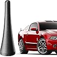 3.8 Inch Antenna for Ford Mustang (2010-2014), Aluminum Antenna Replacement Mast for Ford Mustang 2010-2014