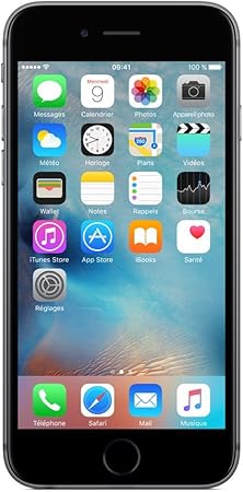 Apple Iphone 6s Smartphone Débloqué 4g Ecran 47 Pouces 16 Go Ios 9 Gris Sidéral