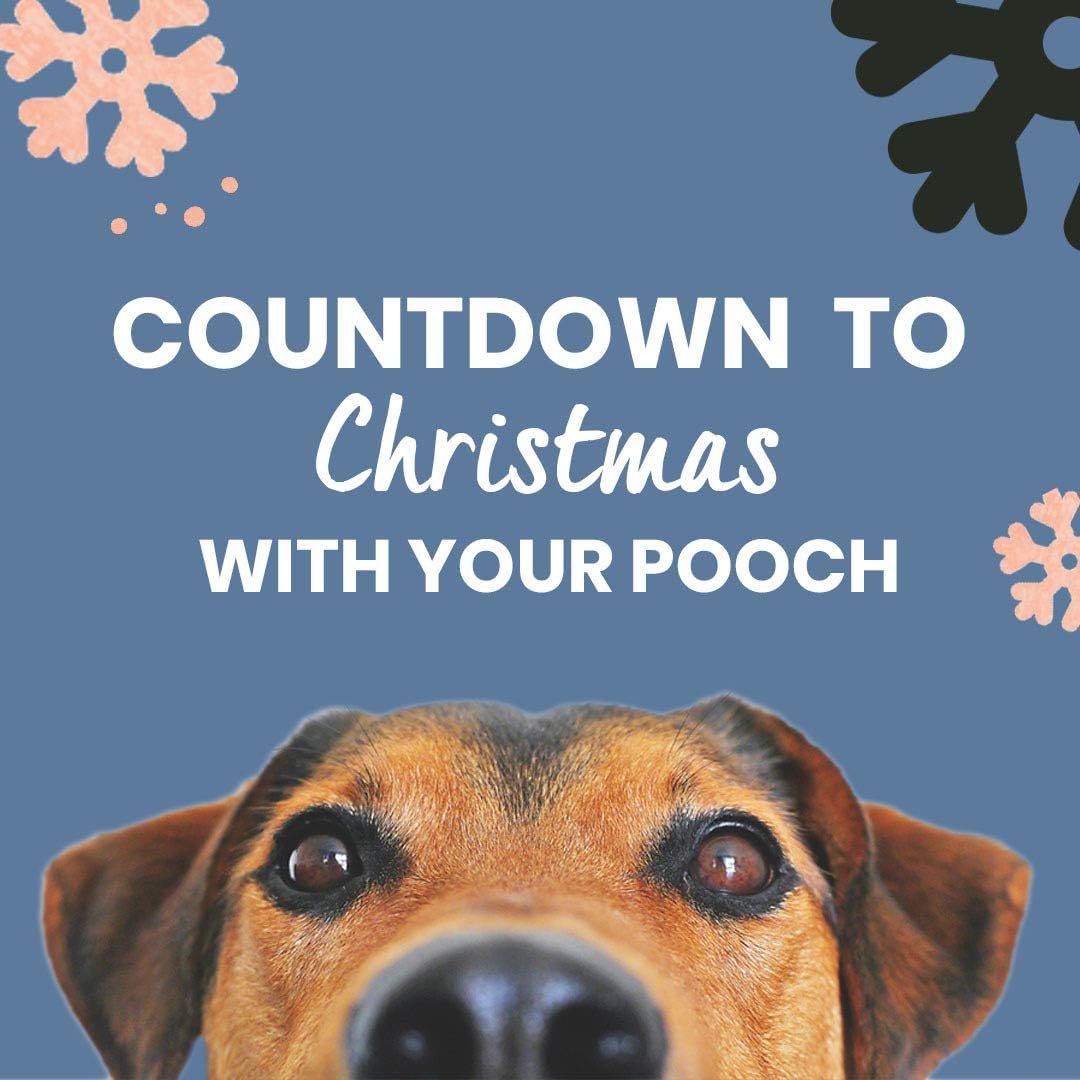 Pooch & Mutt - Christmas Advent Calendar for Dogs with Natural Ingredients and Low Calories Christmas Calendar - Image 3