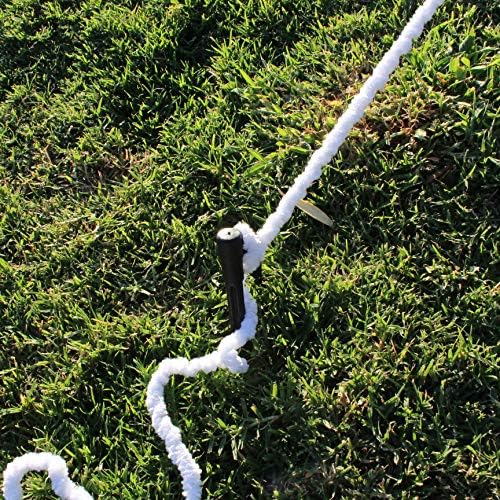 61kP6bsmWtL. AC  - Halloween Giant Spider Web Set Includes 5 ft