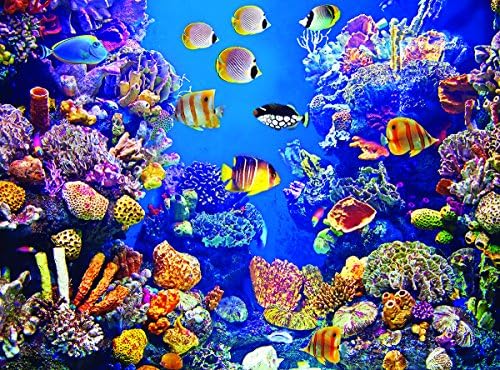 Colorful Fish Aquarium Colorluxe 750 pc Puzzle