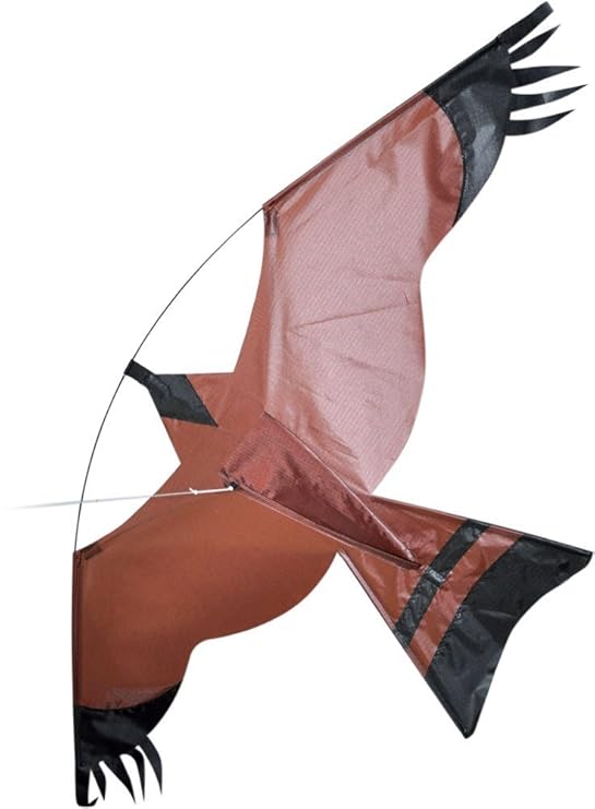 Hawk Bird Scarer Kite. Amazon.co.uk Toys & Games