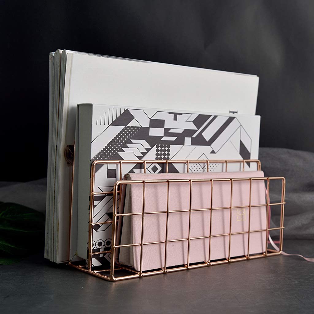 color oro rosa BSTKEY 2 paquetes 3 ranuras de metal clasificador de