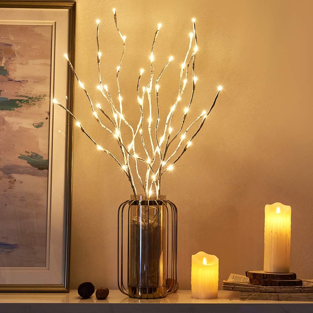 EAMBRITE Pre Lit White Birch Twig Branch Lights 30IN 60LT Plug in Lighted Willow Branch for Home Holiday Party Wedding Spring Decoration Indoor and Outdoor Use (Vase Excluded)