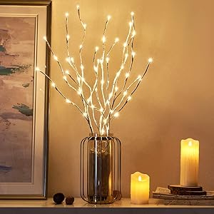 EAMBRITE Pre Lit White Birch Twig Branch Lights 30IN 60LT Plug in Lighted Willow Branch for Home Holiday Party Wedding Spring Decoration Indoor and Outdoor Use (Vase Excluded)