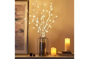 EAMBRITE Pre Lit White Birch Twig Branch Lights 30IN 60LT Plug in Lighted Willow Branch for Home Holiday Party Wedding Spring Decoration Indoor and Outdoor Use (Vase Excluded)