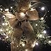 BrightTouch Mini LED String Lights - Powered by USB, Best Christmas Decorations, 100 Micro Lights, 33ft/10m (Warm White)