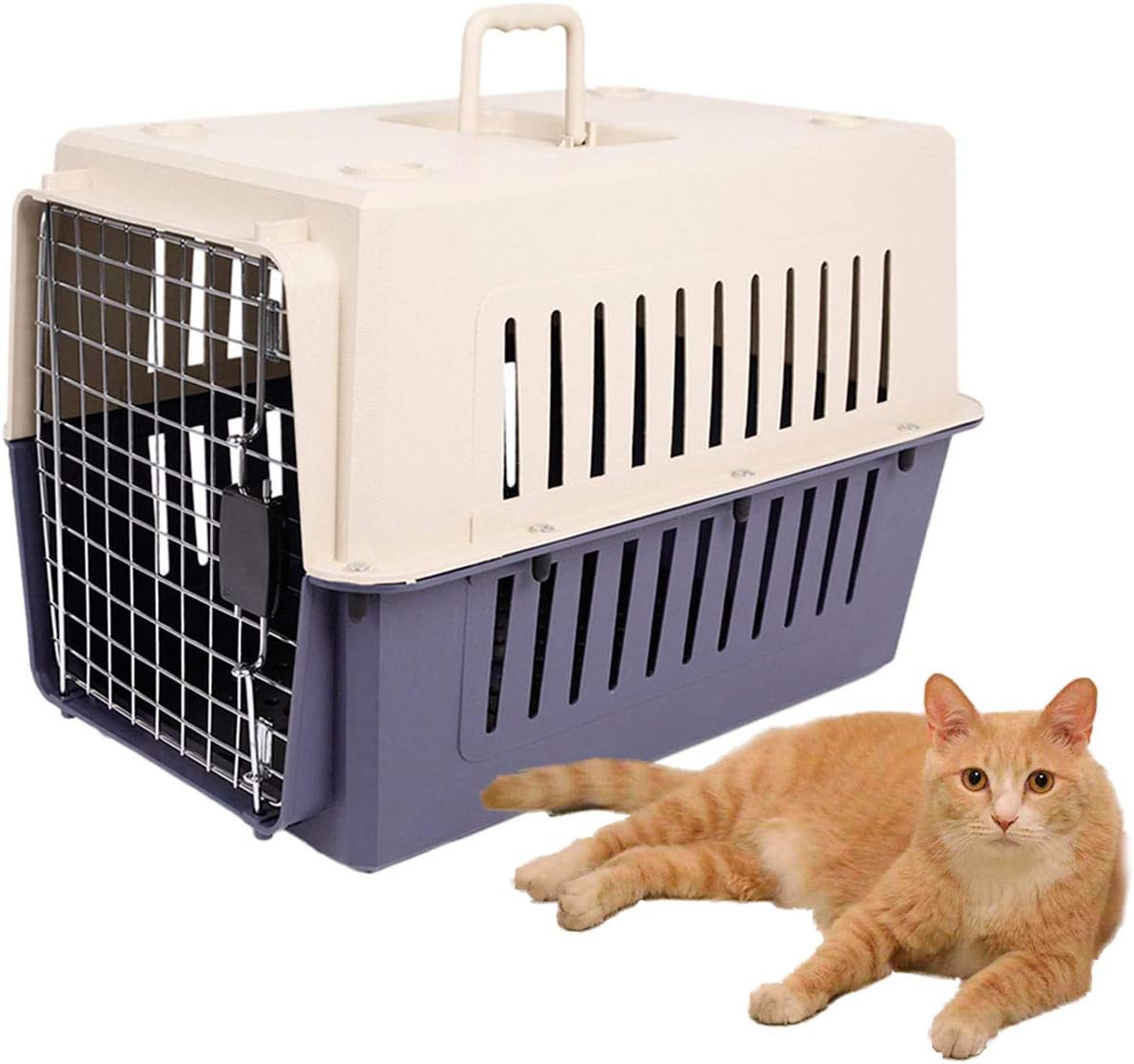 brindle plott hound puppies