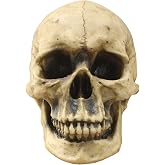 WallCharmers Human Skull 8.5
