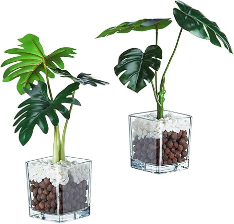 Amazon Tuokor テーブルトップ 人工植物 小さな人工植物 透明ガラスキューブポット付き ホームデコレーション用 2個セット 造花 オンライン通販