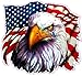 American Flag Eagle Crying Decal 5