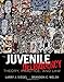 Juvenile Delinquency: Theory, Practice, and Law