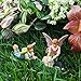 Mood Lab Fairy Garden Figurines Set - Miniature Fairy Accessories Friendship Set of 2 pcs - Garden Kit for Outdoor or House Decor