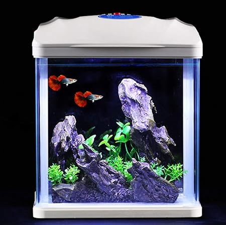 JIAN Glas Aquarium-Desktop kleines Wohnzimmer kostenlos Wasserersparnis ökologischer Fischbehälter -23 * 16 * 27cm