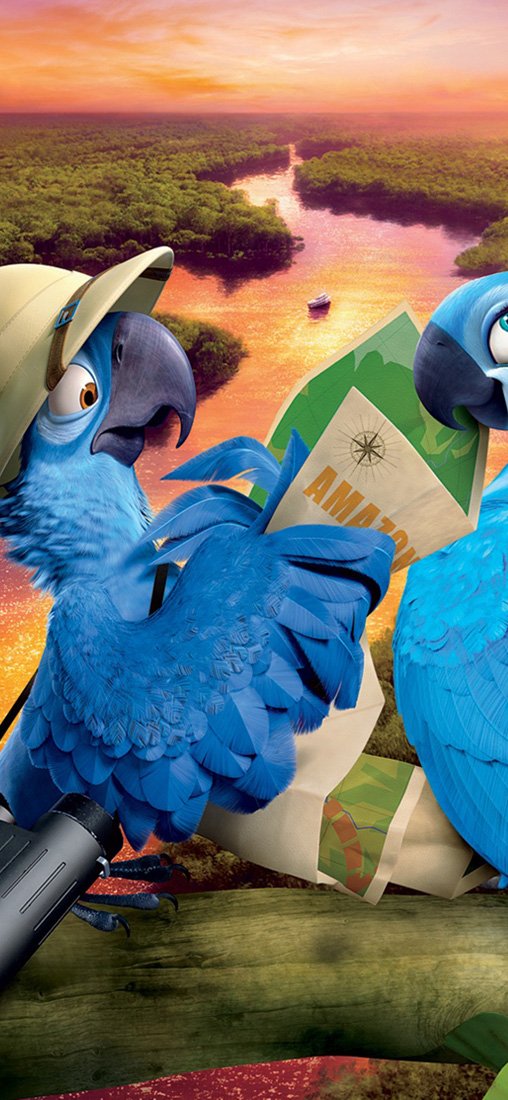 PeelitStickit Rio 2 2014, vinyl