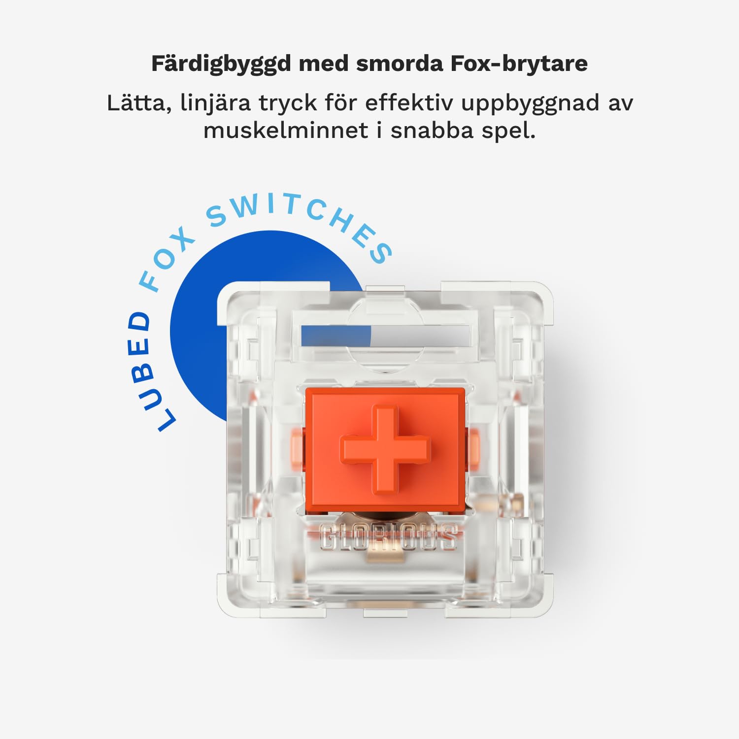 GLORIOUS Gaming GMMK PRO 75% - Modulares mechanisches Gaming-Keyboard, TKL, Grundgerüst 1,5 kg, voll anpassbar, Spiralkabel, Handgelenkablage, PBT-Tastenkappen - Deutsche QWERTZ-Belegung - Weiß 6