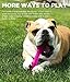 Urban Stick Durable Dog Chew Toy, Tough Dog Toy for Large Dogs by Bionic, Large, Purple