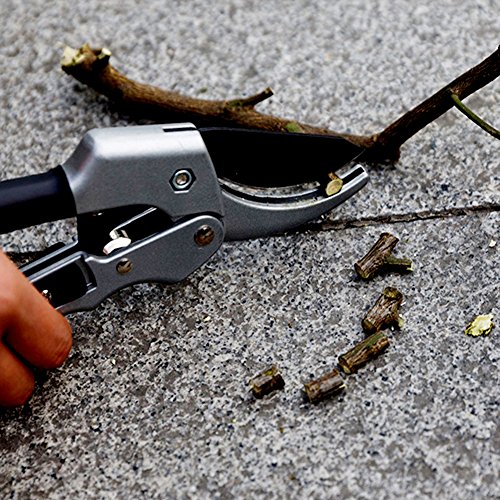 CoZroom Professional Bypass Pruning Shears, Hand Pruners, Garden Clipper – Ideal for Trees, Flowers, Stems, Shrubs and Branches - Thumbnail 6