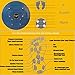 AT Bags Waist Twisting Disc Figure Twister Twister Moves Ankle Body Aerobic Exercise Foot Exercise Fitness Twister Figure Trimmer Magnet Balance Rotating Board YL40Blue