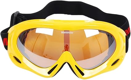 phoenix goggles