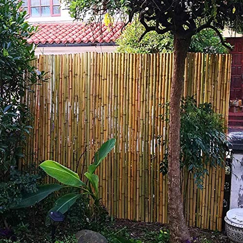JinSui Bambus Sichtschutz Balkon Dekorative Zäune Balkonansicht Bambusmatte Trennwand Dauerhafter Bambuszaun… – Bild 8