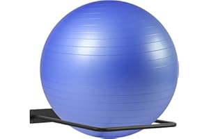 DNYLHRLZ Large Stability Ball Wall Rack - Yoga Ball Storage Rack for Studio, Gym or Home (1 Black)