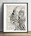 Vintage Anatomy Illustration Art, Dictionary Print, Antique Wall Art Home Decor, Modern Boho, Medical Posters, Farmhouse Decoration 8x10 Inches, Ready To Frame (Anatomy Illustration #2)