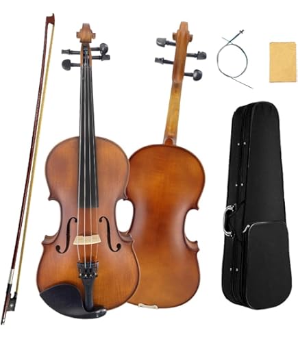 Amazon.com: Stentor, 4-String Viola-Acoustic (1505 14
