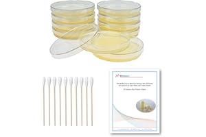 EZ BioResearch Bacteria Science Kit (IV): Top Science Fair Project Kit. Prepoured LB-Agar Plates And Cotton Swabs. Exclusive Free Science Fair Project E-Book Packed With Award Winning Experiments (IV)