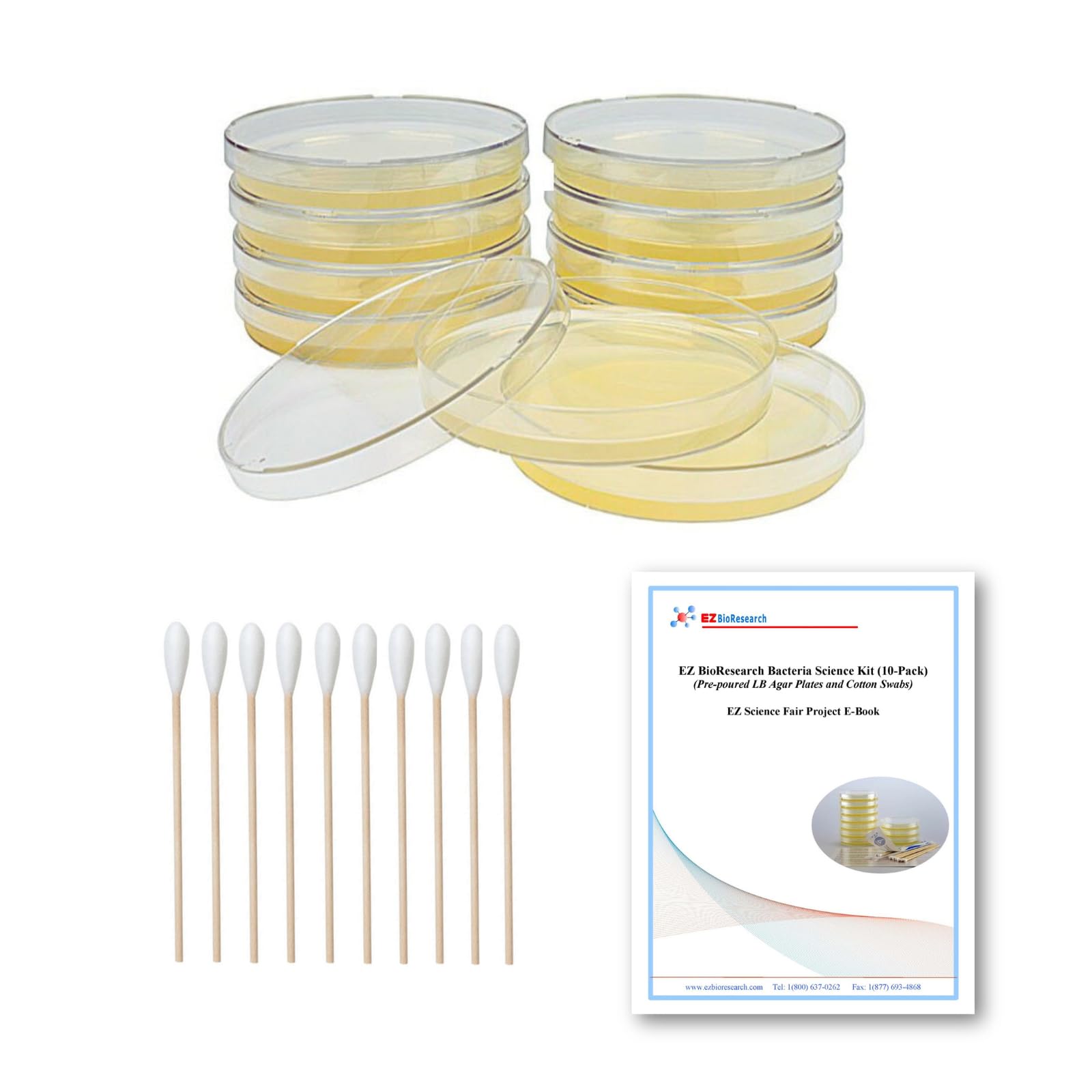 EZ BioResearch Bacteria Science Kit (IV): Top