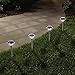 Pure Garden Solar Powered Lights (Set of 24)- LED Outdoor Stake Spotlight Fixture for Gardens, Pathways, and Patios