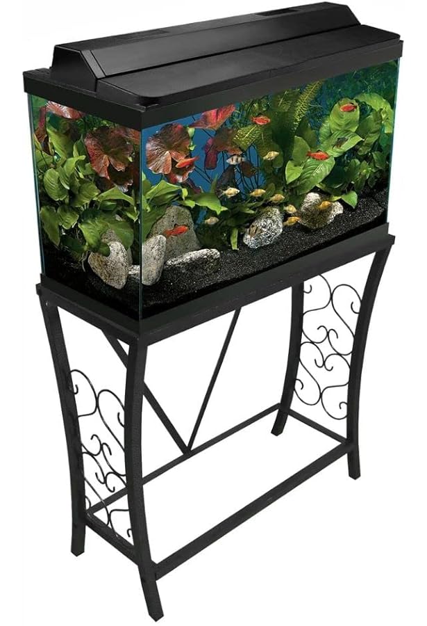 20 gallon long double stand